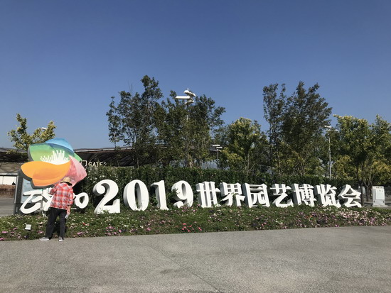 2019北京世园会卡塔尔国家馆日