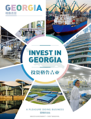 格鲁吉亚投资环境报告（2022）