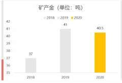 紫金矿业海外并购借鉴与启示